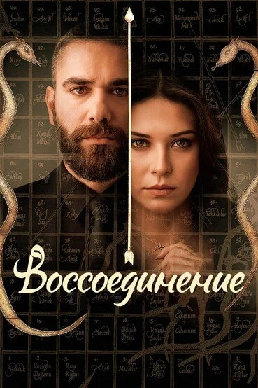 Воссоединение постер